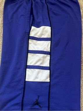 Vintage Nike Jordan Purple Basketball Shorts with White and Black Stripe Detail